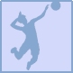 Valbonnais, Sport, Volleyball