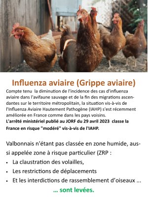 Grippe aviaire