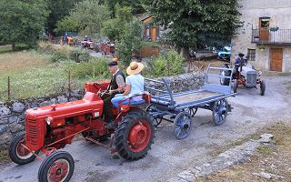 Y22_004806.jpg